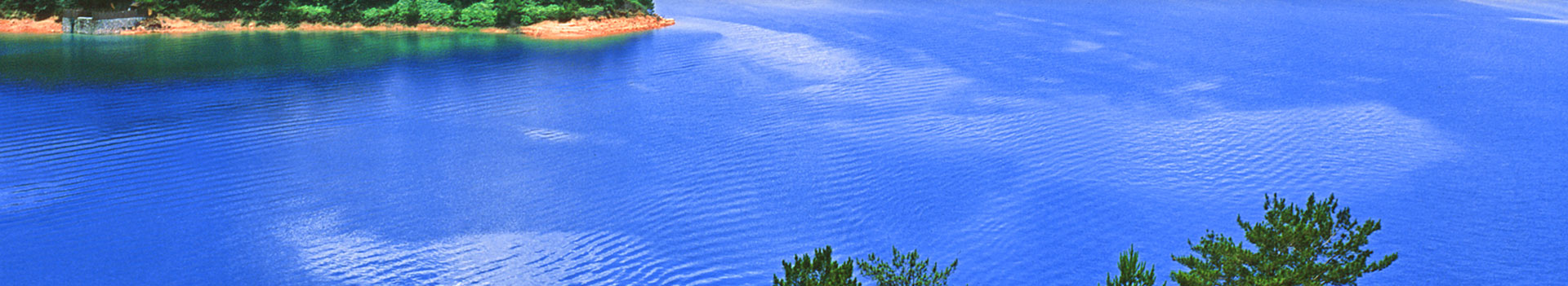 电子娱乐十大平台